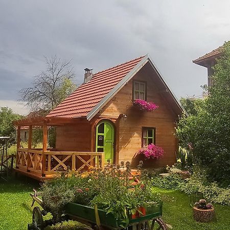 Apartments Vila Selena - Golija Rudno Bagian luar foto