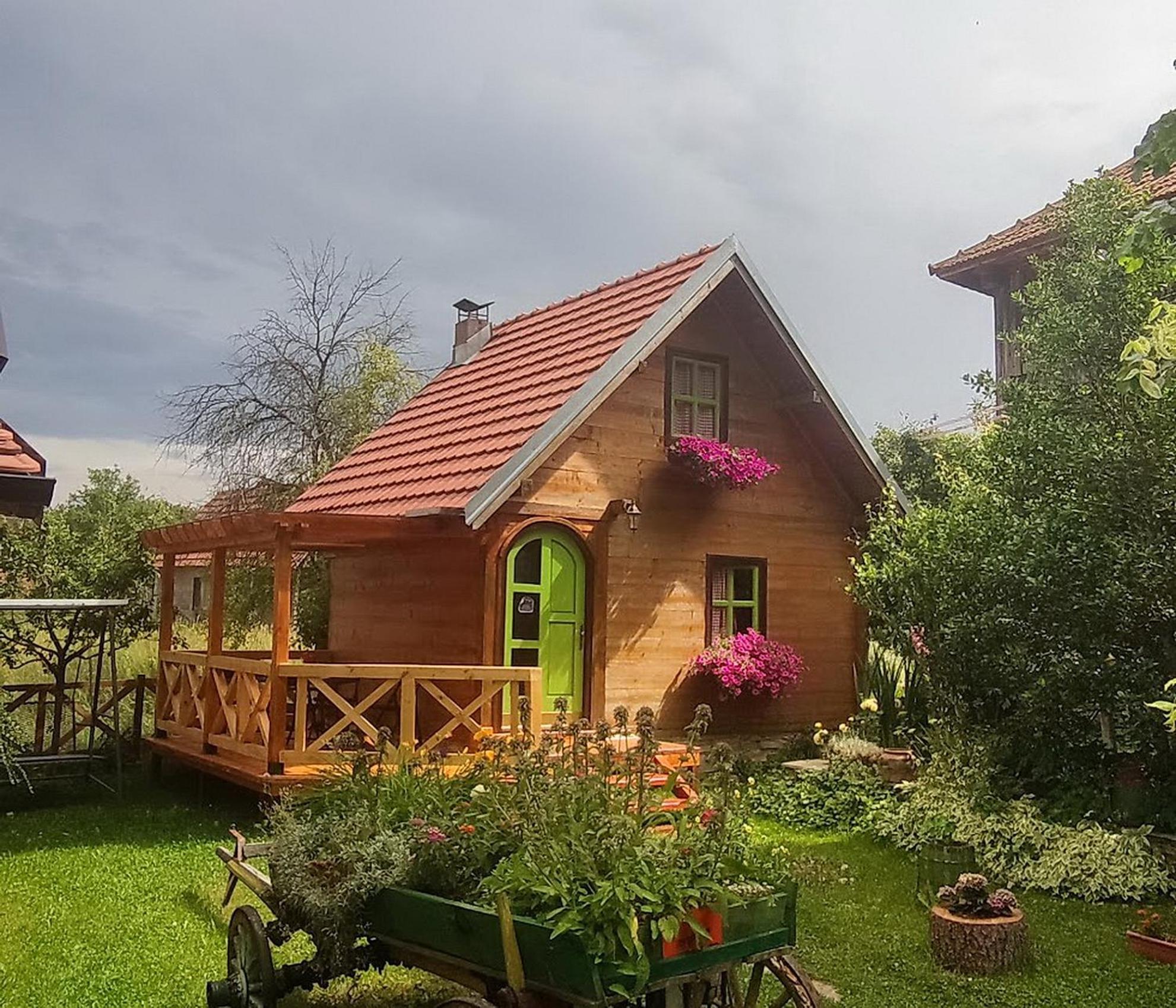 Apartments Vila Selena - Golija Rudno Bagian luar foto